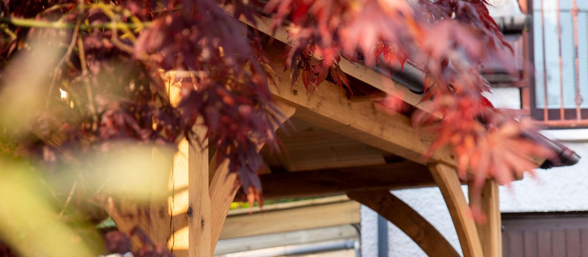 Braeside Guest House, Loch Lomond ดรายเมน ภายนอก รูปภาพ